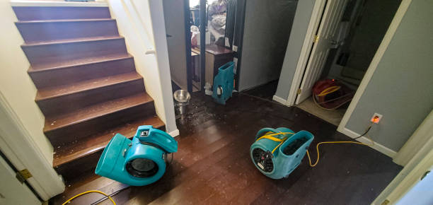 Best Carpet water damage restoration  in Forest Lake, IL