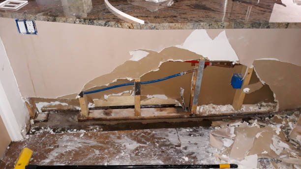 Best Water damage contractors near me  in Forest Lake, IL