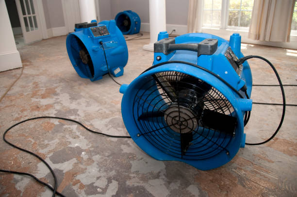 Best Fire Damage Restoration  in Forest Lake, IL