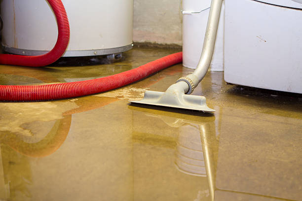 Best Water damage mitigation services  in Forest Lake, IL