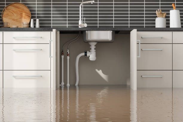 Best Water damage restoration near me  in Forest Lake, IL