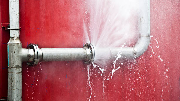 Best Basement water damage restoration  in Forest Lake, IL