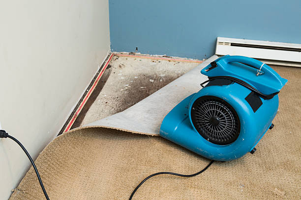  Forest Lake, IL Water damage restoration Pros